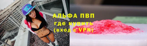 СК Покачи