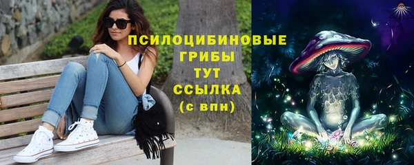 винт Покров